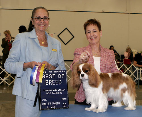 Posey Best of Breed